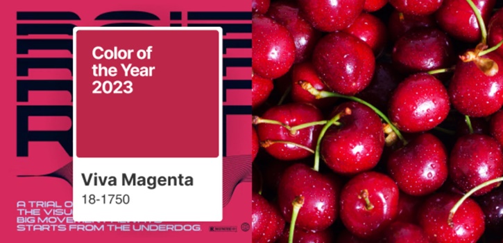 2023 Yılının Pantone Rengi: Viva Magenta